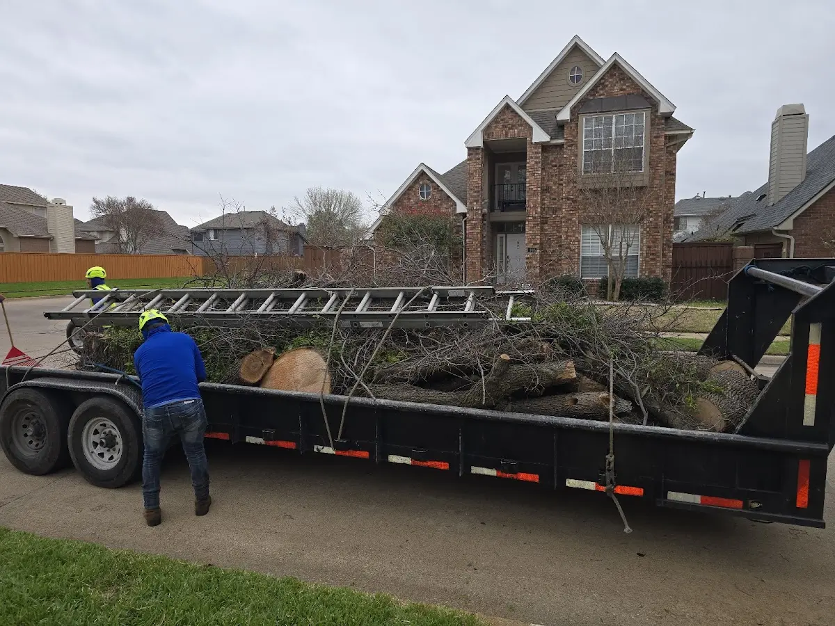 Expert Crown Reduction with proper safety equipment in Lake Forest